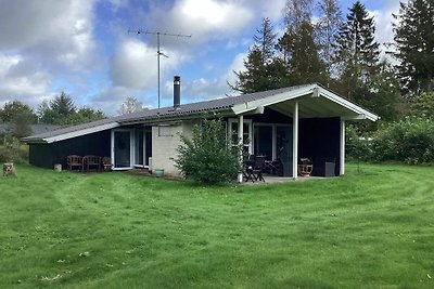 6 persoons vakantie huis in Fårvang