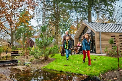 Gemütliches Chalet mit Geschirrspüler, neben ...