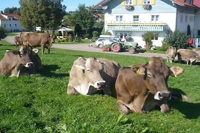 Presso l'Hehlehof||Oberreute