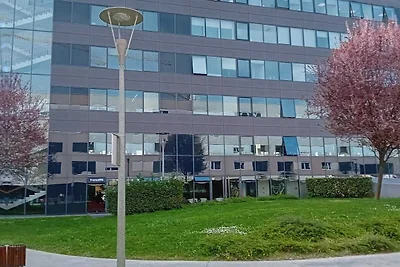 Apartments Cankareva