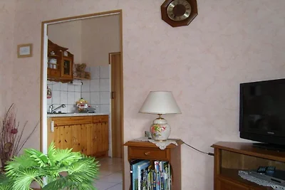 Holiday apartment in Mylau with swimming pool