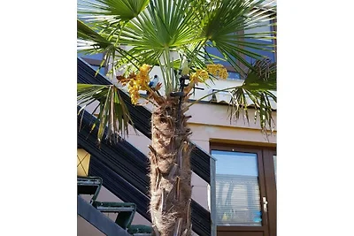 Paseo marítimo 38