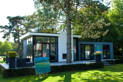 Modernes Ferienhaus in der Veluwe
