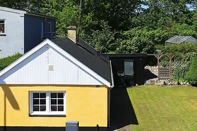 4 Personen Ferienhaus in Asaa-By Traum