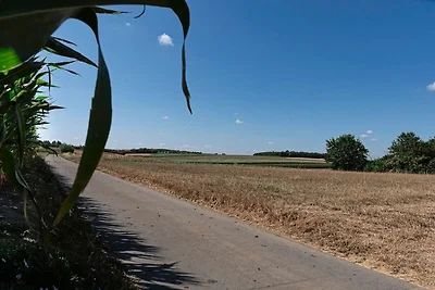 Duplexverblijf op de Alfonsine-boerderij