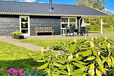 8 persone case ad Silkeborg-By Traum