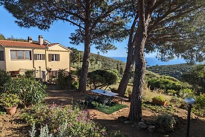 Elisio (OG) Casa Elisio