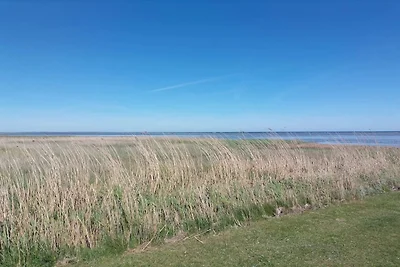 8 Personen Ferienhaus in Ørsted-By Traum