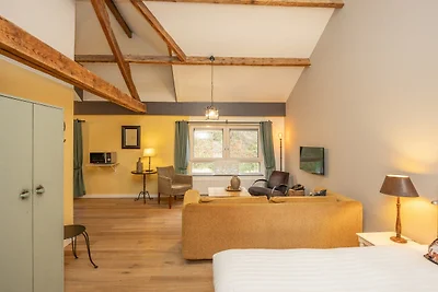 Schitterend appartement rondom centrum...