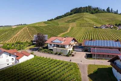 Ferienwohnung in Kappelrodeck mit Wifi