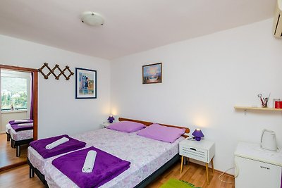 Apartments & Rooms Mihajica- Double or Twin R...