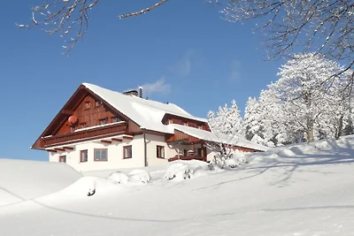 Alpenhut met 1 slaapkamer