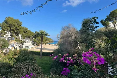 Cala D'Or - Playa d'Or 16