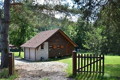 Gemütliches Chalet mit Fluss