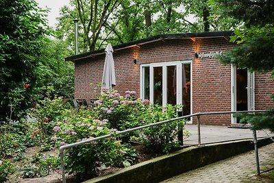 Vakantiehuis in Leende met speeltuin