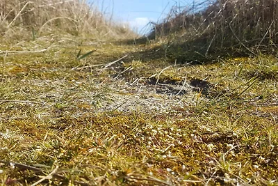 6 Personen Ferienhaus in Sydals-By Traum