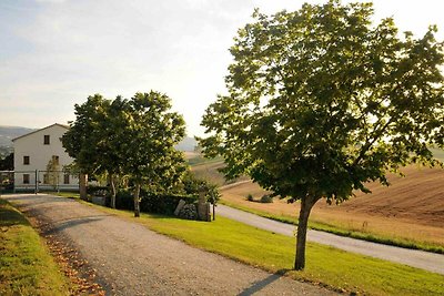 Spaziosa country house con piscina