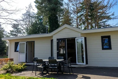 Modernes Achterhoek-Chalet für 6 Personen