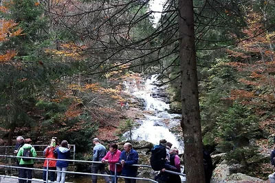 Ferienwohnung in Regen mit Schwimmbecken