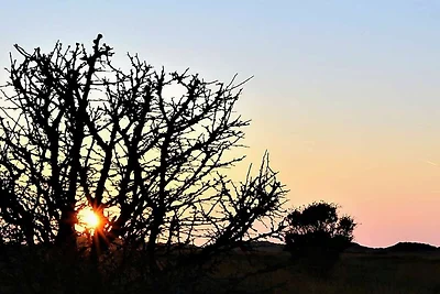 6 Personen Ferienhaus in Læsø-By Traum
