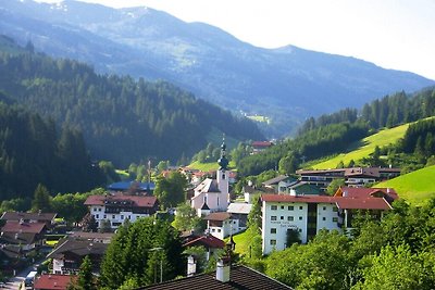 Appartements Schatzberg-Haus...