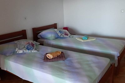 Apartments Franka Saplunara-Twin Room with Te...