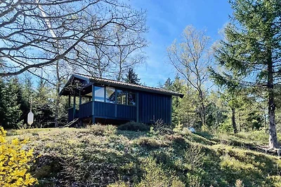 8 Personen Ferienhaus in HENÅN