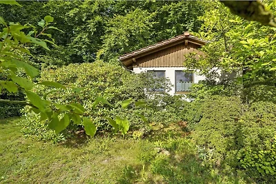 Vista verso sud ai margini della foresta