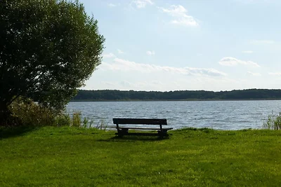 Casa vacanze a Selcow con un grande giardino