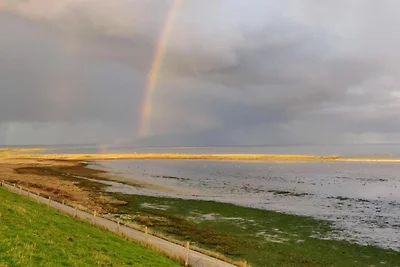 Casa vacanze indipendente situata a Texel