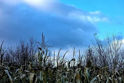 Ritiro di lusso con spa a Thorsager -- By Tra...