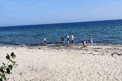 5 persone case ad Væggerløse-By Traum