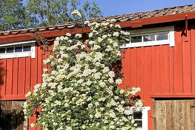 4 Personen Ferienhaus in BJÖRKÖ-By Traum