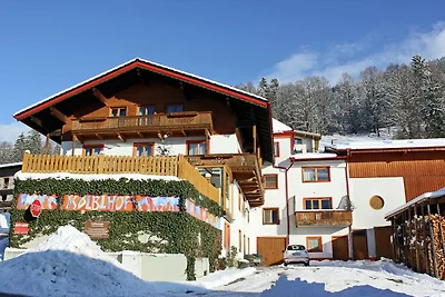 Sonniges Bauernhaus nahe Skigebiet in Tirol