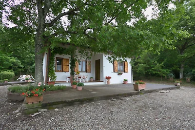 Casa vacanze a Magione con giardino