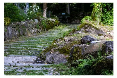 Paradiso Verde - Lucerola
