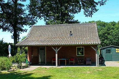 Ferienhaus in Schijf mit Garten