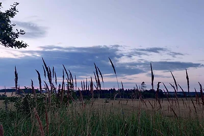 4 Sterne Ferienhaus in Brønderslev