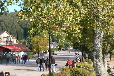 Haus Wiesengrund WG 4