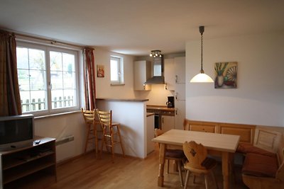 Appartement dichtbij skigebied