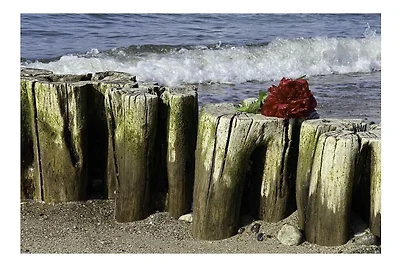 Appartamento per vacanze sul Mar Baltico, pac...