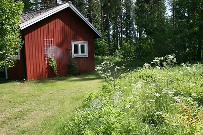 Ahornfarm Håkannäs