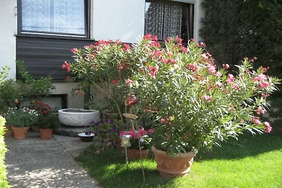 Kuća za odmor Dopust za oporavak Wien