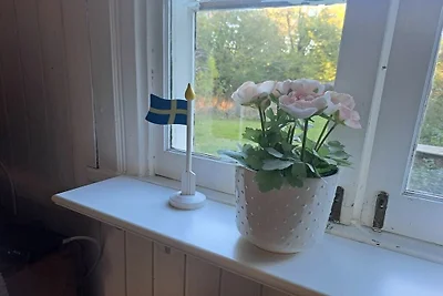 Ferienhaus in Halltorp mit Schwimmbecken