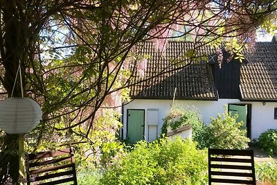 11 Personen Ferienhaus in SKURUP