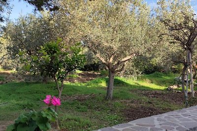 Casa su Rimediu a Orosei con giardino