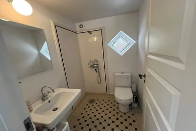 5 Sterne Ferienhaus in Skagen