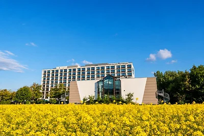 Sunday am Main Taunus Zentrum Frankfurt/Sulzb...
