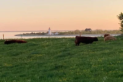 Meeresflucht in Hindsholm -- By Traum...