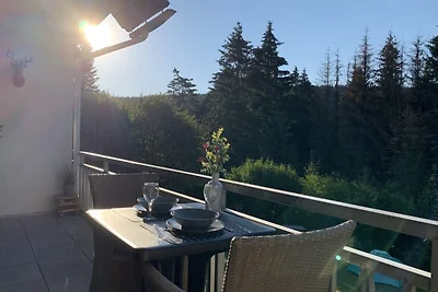 Appartement in het Rothaargebergte met balkon